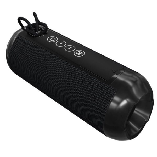 Lapcare Go Beat VI LBS-315 10W Bluetooth Speaker